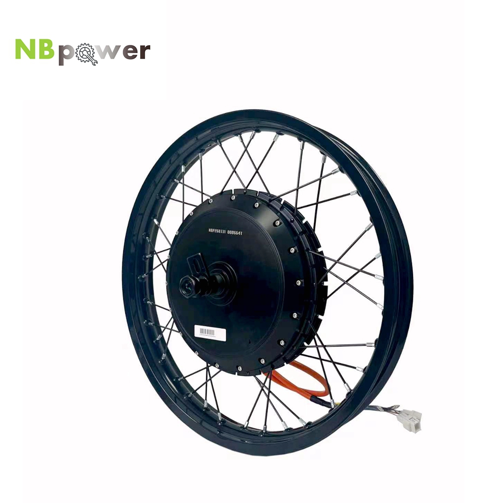 NBpower/170mm Dropout QS 273 4 - Qs Motor 273 8000W Hub Motor incelemesi ve fiyatı